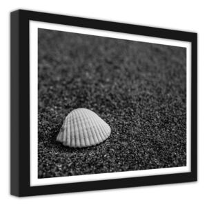 CARO Obraz v ráme - A Seashell On The Sand 40x30 cm Čierna