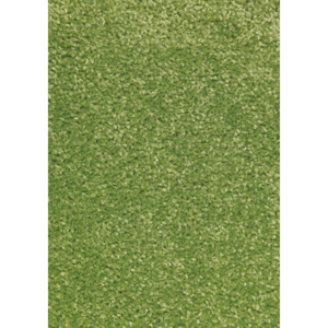 Hanse Home Collection koberce akcia: 140x200 cm Kusový koberec Nasty 101149 Grün - 140x200 cm