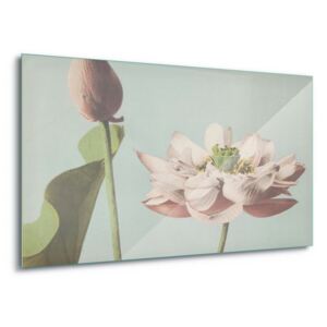 Sklenený obraz - Lotus Blossom, Ogawa Kazumasa. 60x40 cm