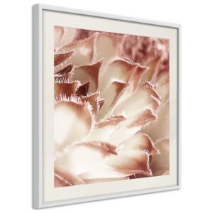 Bimago Zarámovaný obraz - Floral Calyx Biely rám s paspartou 20x20 cm
