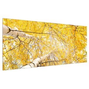 Obraz brezy (120x50 cm)
