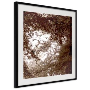 Bimago Zarámovaný obraz - In the Shade of Trees Čierny rám 20x20 cm