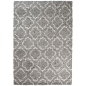Kusový koberec Shaggy Doby sivý, Velikosti 80x150cm