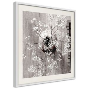 Bimago Zarámovaný obraz - Reminiscence of Spring (Square) Biely rám s paspartou 20x20 cm