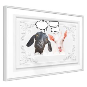 Bimago Zarámovaný obraz - Conversation of Two Goats Biely rám 60x40 cm