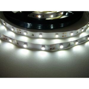 T-LED LED pásik 4,8W/m 12V bez krytia IP20 Economy Farba svetla: Studená biela 07145