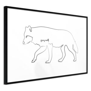 Bimago Zarámovaný obraz - Grey Wolf Čierny rám 60x40 cm