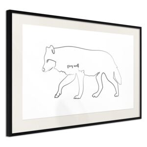 Bimago Zarámovaný obraz - Grey Wolf Čierny rám s paspartou 60x40 cm