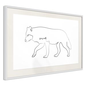 Bimago Zarámovaný obraz - Grey Wolf Biely rám s paspartou 60x40 cm