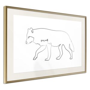 Bimago Zarámovaný obraz - Grey Wolf Zlatý rám s paspartou 90x60 cm