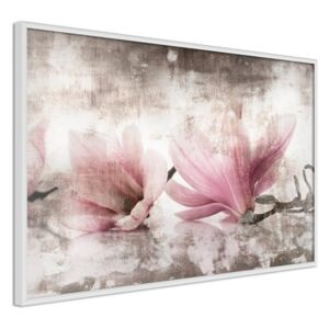 Bimago Zarámovaný obraz - Picked Magnolias Biely rám 60x40 cm