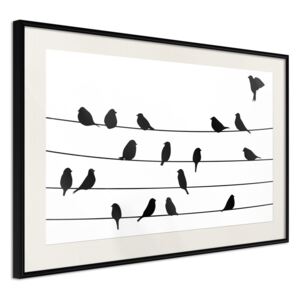 Bimago Zarámovaný obraz - Birds Council Meeting Čierny rám s paspartou 60x40 cm