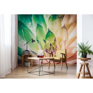 GLIX Fototapeta - Aloe Plant Green And Orange Vliesová tapeta - 312x219 cm