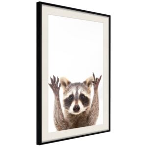 Bimago Zarámovaný obraz - Funny Racoon Čierny rám s paspartou 40x60 cm