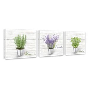 Styler Obraz na plátne - Variety of herbs 3x 27x27 cm