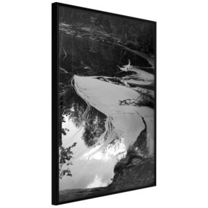 Bimago Zarámovaný obraz - Duckweed Čierny rám 40x60 cm