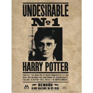 Reprodukcia, Obraz - Harry Potter - Undesirable No1, (30 x 40 cm)