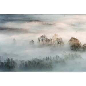 Umelecká fotografia Winter fog, Marco Galimberti