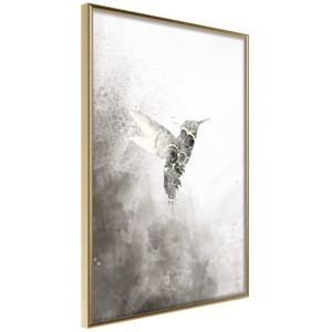 Bimago Zarámovaný obraz - Hummingbird in Shades of Grey Zlatý rám 30x45 cm