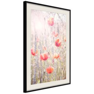 Bimago Zarámovaný obraz - Poppies Čierny rám s paspartou 40x60 cm