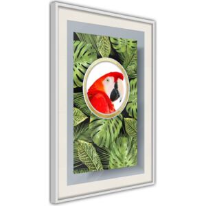 Bimago Zarámovaný obraz - Parrot Says Hi Biely rám s paspartou 40x60 cm