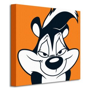 Obraz na plátne Looney Tunes (Pepe Le Pew) 40x40cm WDC95131