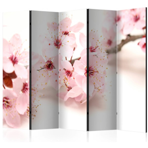 Paraván - Cherry Blossom II [Room Dividers] 225x172 7-10 dní