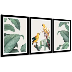 Gario Obraz v ráme Papagáje a listy Farba rámu: Biela, Veľkosť: 99 x 45 cm