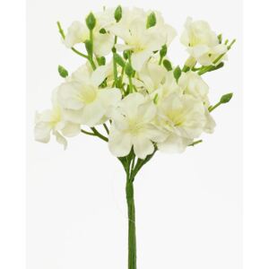 Kvet jabloň zväzok biely 18cm
