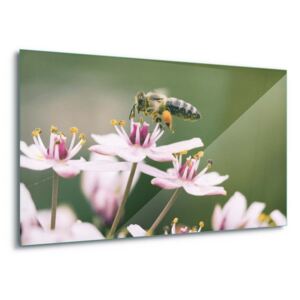 Sklenený obraz - Busy Bee 4 x 30x80 cm