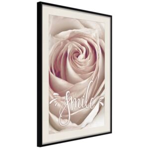 Bimago Zarámovaný obraz - Rose with a Message Čierny rám s paspartou 40x60 cm