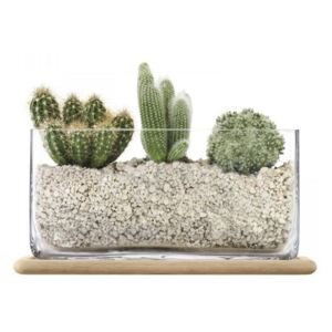Plant obdĺžnikový sklenený kvetináč 19,5cm LSA, Handmade