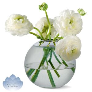 Sklenená váza Globo 3v1 - Philippi