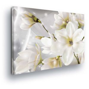 Obraz na plátne - Magic White Flowers 100x75 cm