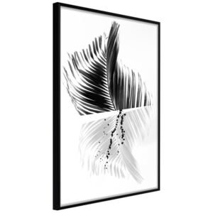 Bimago Zarámovaný obraz - Abstract Feather Čierny rám 40x60 cm