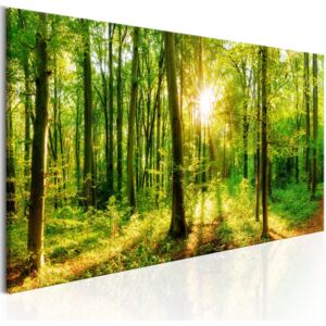 Bimago Obraz na plátne - Green Magic 150x50 cm
