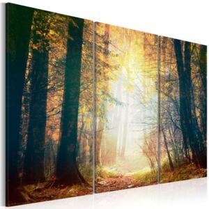Obraz na plátne - Beauty of autumn - triptych 60x40 cm