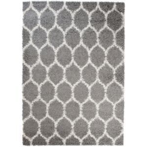 Kusový koberec Shaggy Selma sivý 2, Velikosti 80x150cm
