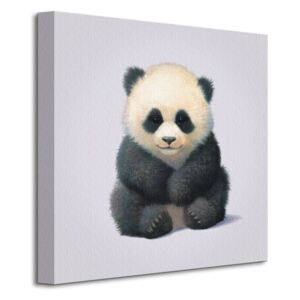 Obraz na plátne Malá panda Butler John 40x40cm WDC95282