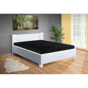 Nabytekmorava Moderná posteľ Fanny 120x200 cm matrac: bez matrace, farba čalúnenie: eko koža šedá, úložný priestor: s úložným priestorom