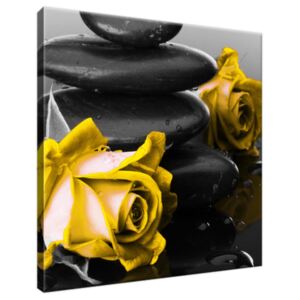 Obraz na plátne Yellow roses and spa 30x30cm 2554A_1AI