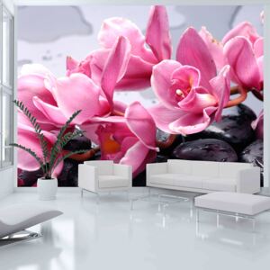 Bimago Fototapeta - Orchid flowers with zen stones 200x154 cm