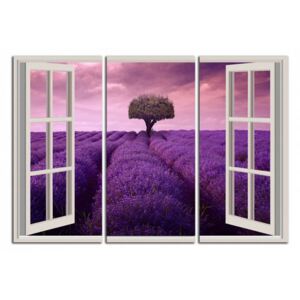 Okno do Provence C4019BO