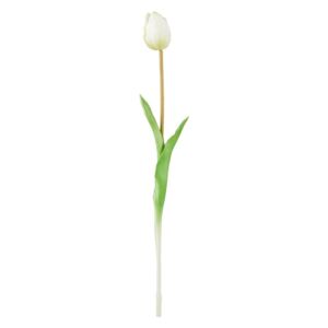 FLORISTA Tulipán 47 cm - krémová