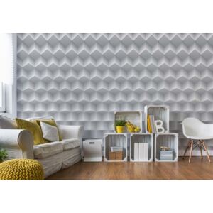 GLIX Fototapeta - 3D Grey And White Design Vliesová tapeta - 208x146 cm