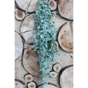 Zelená umelá rastlina aeschynanthus 90cm