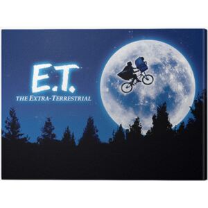 Obraz na plátne ET - Quad, (60 x 80 cm)