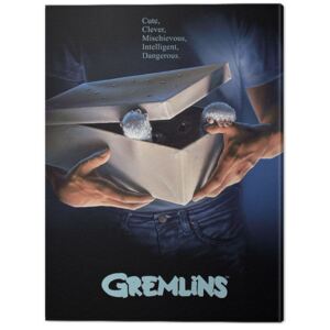 Obraz na plátne Gremlins - One Sheet Gizmo, (60 x 80 cm)