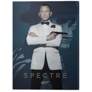 Obraz na plátne James Bond - Spectre, (60 x 80 cm)