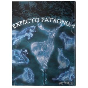 Obraz na plátne Harry Potter - Patronus, (60 x 80 cm)